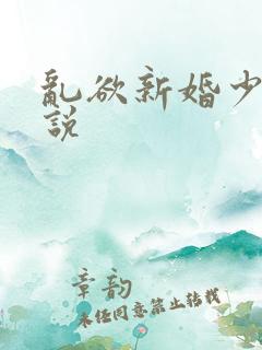 乱欲新婚少妇小说