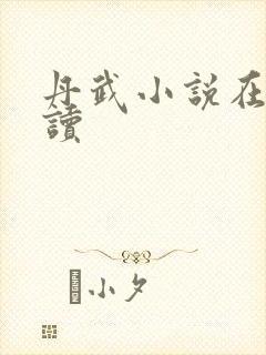 丹武小说在线阅读