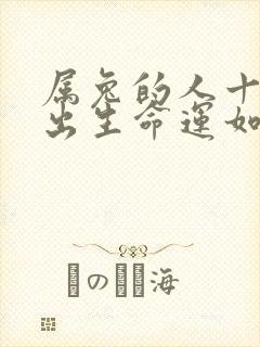 属兔的人十一月出生命运如何