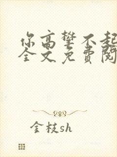 你高攀不起小说全文免费阅读