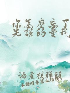 你怎么忘了是你先说的爱我歌词