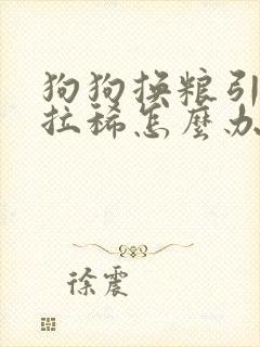 狗狗换粮引起的拉稀怎么办