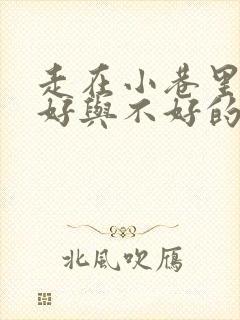 走在小巷里心情好与不好的小练笔