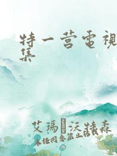 特一营电视剧全集