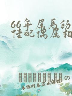 66年属马的最佳配偶属相