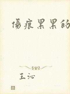 伤痕累累的勋章