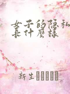 女子的隐私部位长什么样