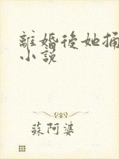 离婚后她捅破天小说