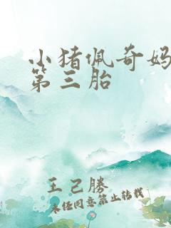 小猪佩奇妈妈怀第三胎