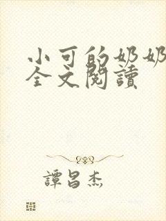 小可的奶奶小说全文阅读