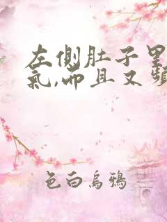 左侧肚子里有胀气,而且又频繁放屁