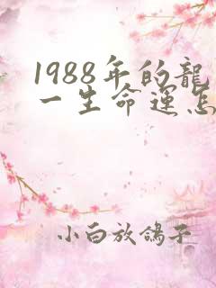 1988年的龙一生命运怎样