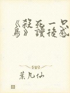 《杀死一只知更鸟》读后感【汇编】