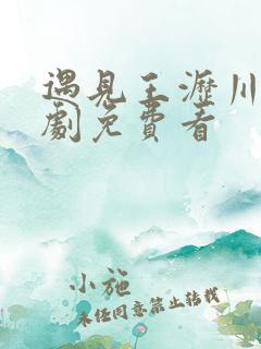 遇见王沥川电视剧免费看