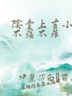 阴囊上有小肉粒不痛不痒