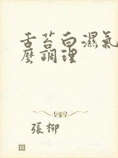 舌苔白湿气重怎么调理