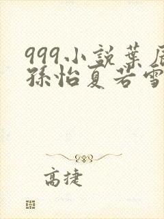 999小说叶辰孙怡夏若雪