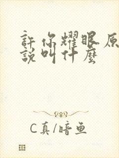 许你耀眼原著小说叫什么