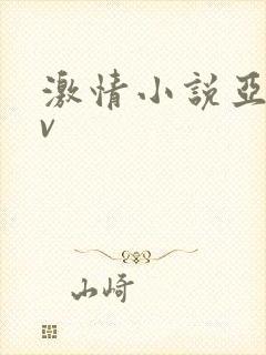 激情小说亚洲av