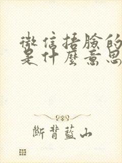 微信捂脸的表情是什么意思