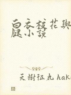 白衣校花与大长腿小说