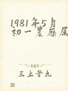 1981年5月初一农历属鸡命运怎样