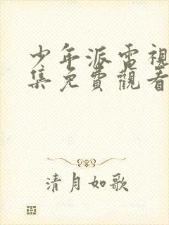 少年派电视剧全集免费观看不卡