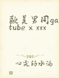 欧美男同gaytubeⅹxxx