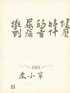 撒尿的时候尿道刺痛看什么科室