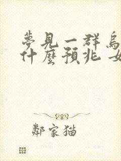 梦见一群乌龟是什么预兆 女性