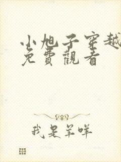 小旭子穿越短剧免费观看