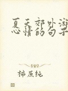 夏天郊外游玩的心情的句子