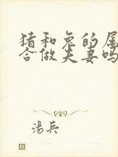 猪和兔的属相适合做夫妻吗