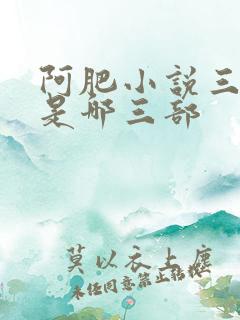 阿肥小说三部曲是哪三部