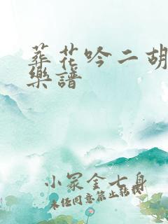 葬花吟二胡曲谱乐谱