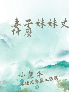 妻子妹妹丈夫叫什么