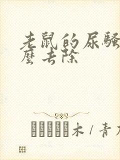 老鼠的尿骚味怎么去除