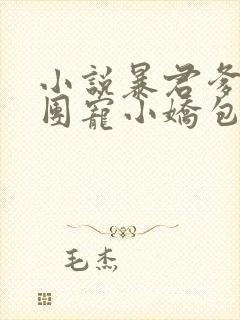 小说暴君爹爹的团宠小娇包最新章节