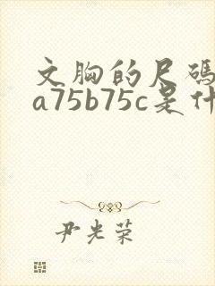 文胸的尺码75a75b75c是什么意思