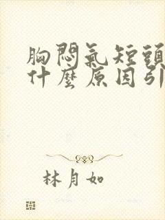 胸闷气短头晕是什么原因引起的