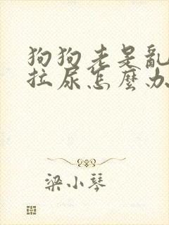 狗狗老是乱拉屎拉尿怎么办