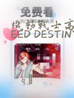 机动战士高达SEED DESTINY ASTRAY：结局+番外