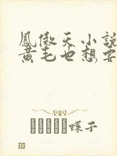 凤傲天小说里的黄毛也想要幸福