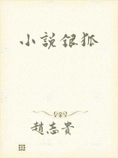 小说银狐