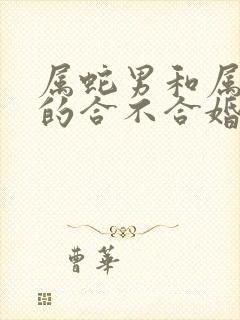 属蛇男和属狗女的合不合婚