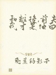 和离后,前夫说我才是他白月光