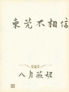 东莞不相信眼泪