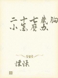 二十七岁胸部太小怎么办