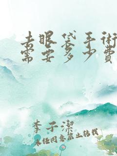 去眼袋手术大概需要多少费用