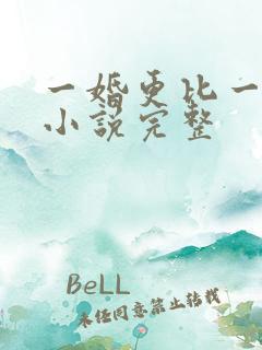 一婚更比一婚高小说完整